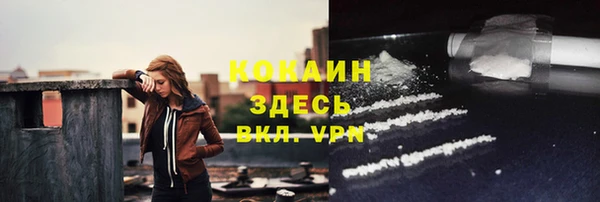 мдпв Майский