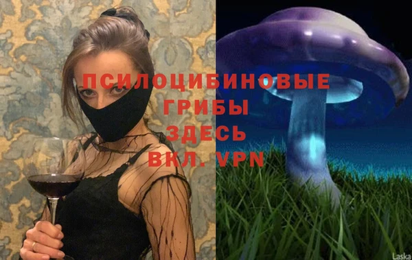 прущий лед Магас